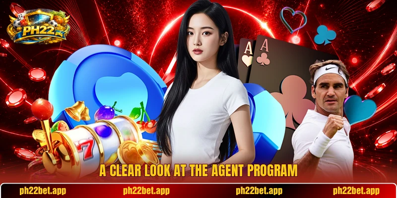 A clear look at the agent program A clear look at the agent program