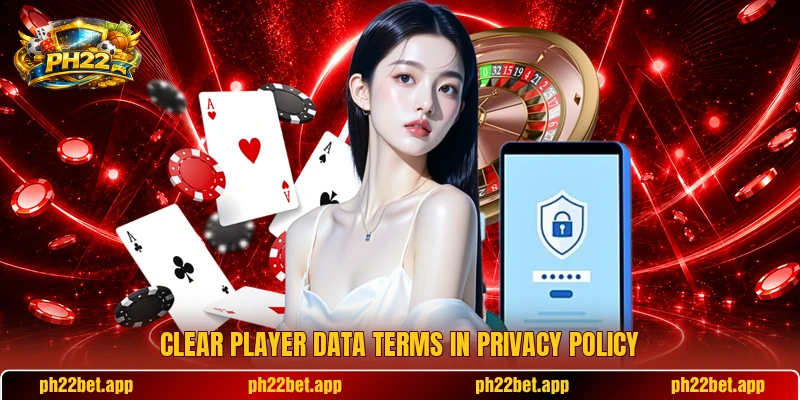 Clear player data terms in privacy policy Clear player data terms in privacy policy