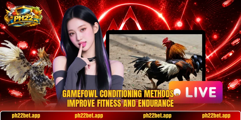 Gamefowl Conditioning Methods – Improve Fitness And Endurance