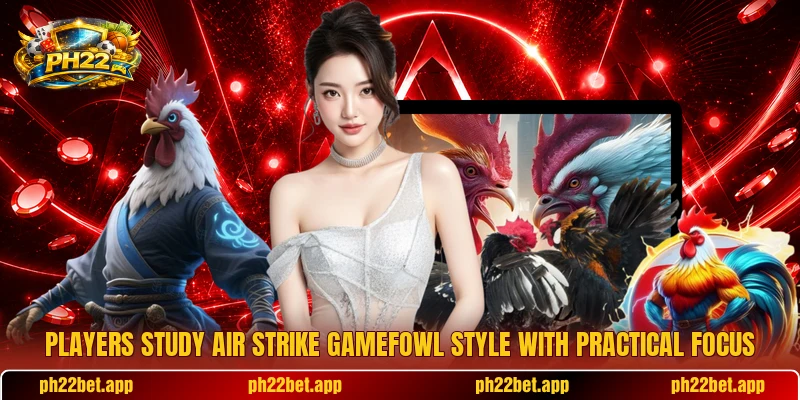 Players study Air strike gamefowl style with practical focus Players study Air strike gamefowl style with practical focus